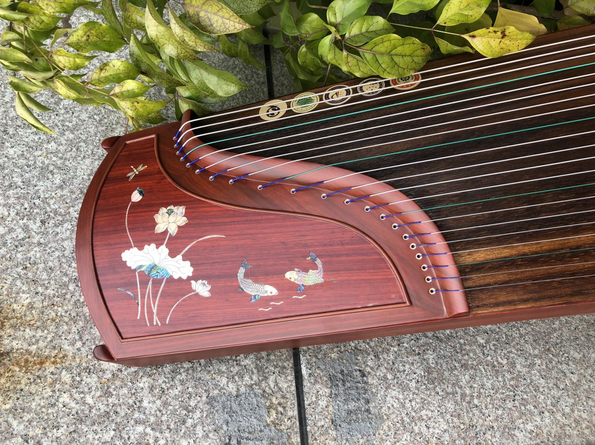 莲年有余