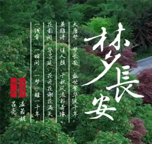 梦长安
