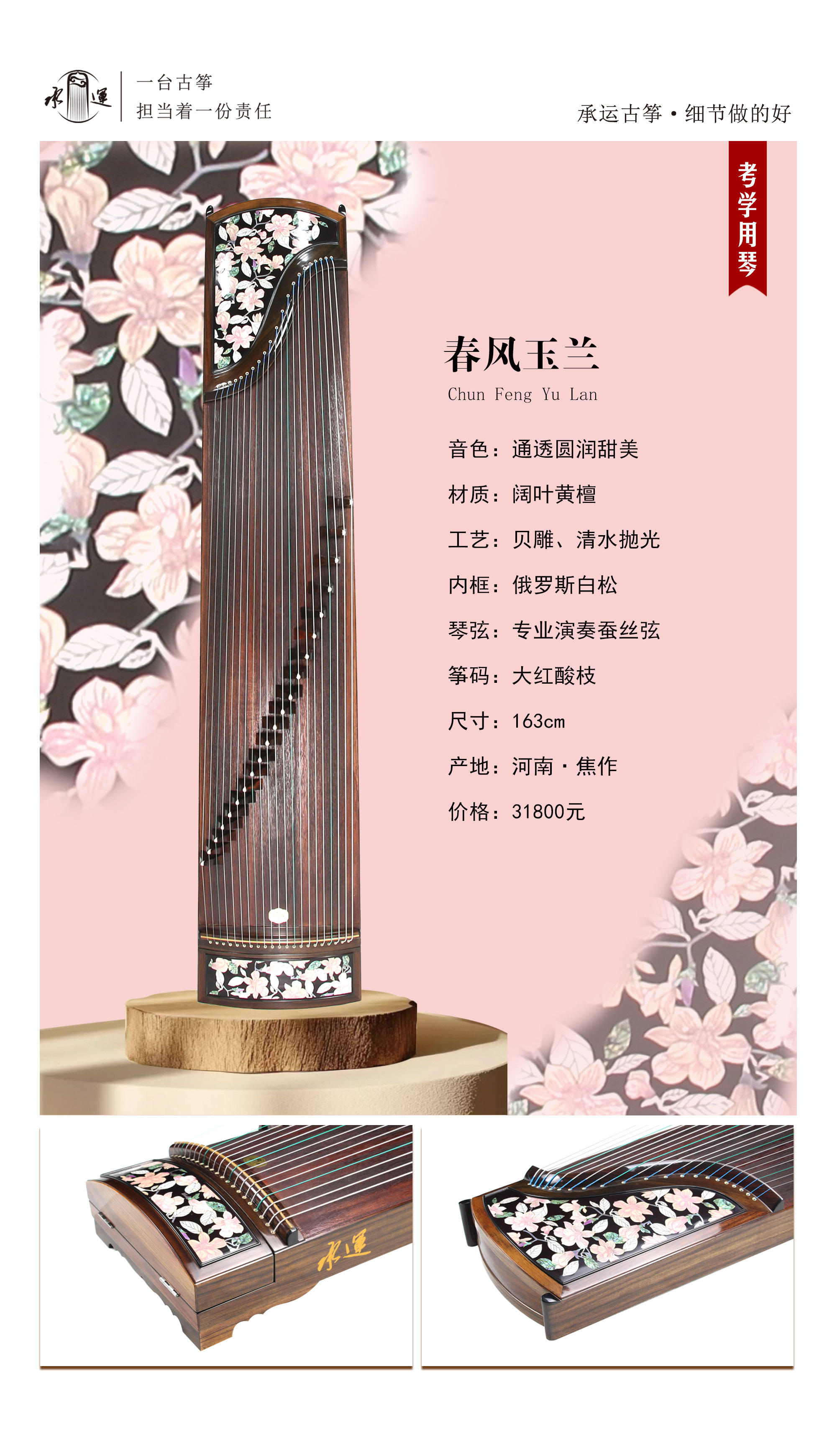37春风玉兰